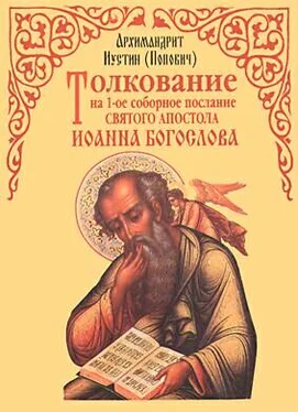Иустин Попович Толкование на 1-ое соборное послание св. апостола Иоанна Богослова обложка книги