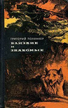 Григорий Полянкер Городской сумасшедший обложка книги