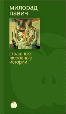 Милорад Павич Шляпа из рыбьей чешуи (с иллюстрациями) обложка книги