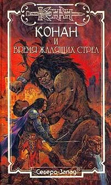 Натали О`Найт Время жалящих стрел обложка книги