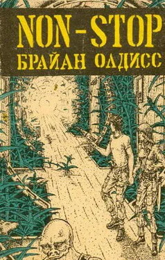 Брайан Олдисс Non-Stop (Нон-стоп, Беспосадочный полет) обложка книги