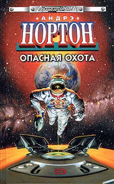 Андрэ Нортон Опасная охота обложка книги