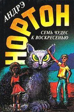 Андрэ Нортон Волшебный дом [Магия восьмиугольного дома] обложка книги