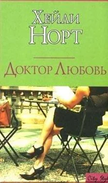 Хейли Норт Доктор Любовь обложка книги