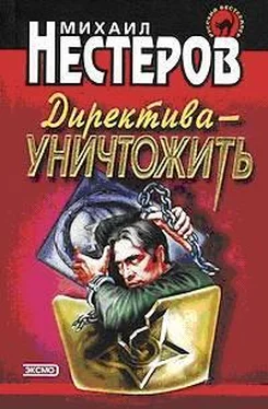 Михаил Нестеров Директива – уничтожить обложка книги