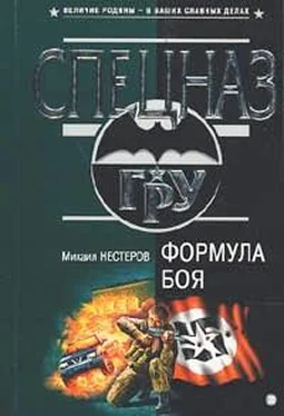 Михаил Нестеров Формула боя обложка книги