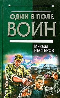 Михаил Нестеров Один в поле воин обложка книги