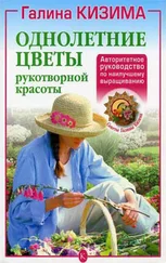 Галина Кизима - Однолетние цветы рукотворной красоты