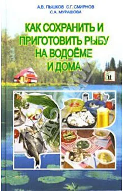 Светлана Мурашова Как сохранить и приготовить рыбу на водоеме и дома обложка книги