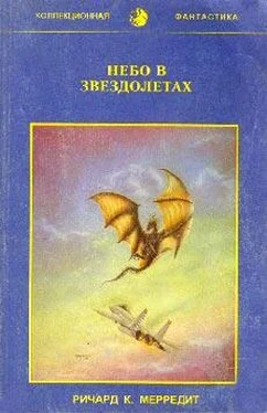 Ричард Мередит Небо в звездолетах обложка книги