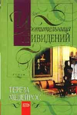 Тереза Медейрос Укротительница привидений обложка книги