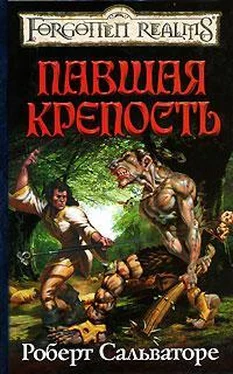 Роберт Сальваторе Павшая крепость обложка книги