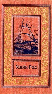 Томас Майн Рид Среди пальметт. Приключение в болотах Луизианы обложка книги