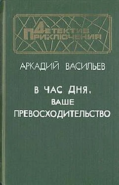 Аркадий Васильев В час дня, Ваше превосходительство обложка книги