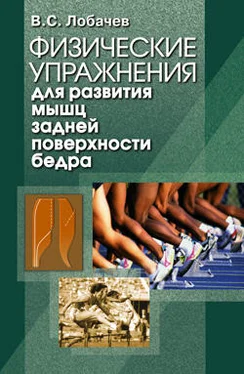 Владимир Лобачев Физические упражнения для развития мышц задней поверхности бедра обложка книги