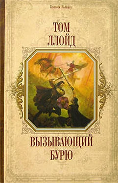 Том Ллойд Вызывающий бурю обложка книги