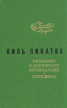 Виль Липатов Стрежень обложка книги