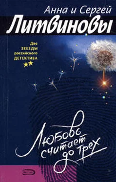 Анна и Сергей Литвиновы Ревность обложка книги