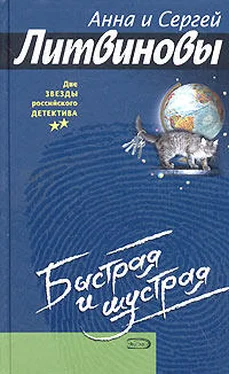 Анна и Сергей Литвиновы Быстрая и шустрая обложка книги