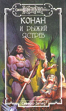 Джорджия Лэнгтон Карела Рыжий Ястреб обложка книги