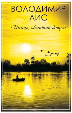 Владимир Лис Місяць, обмитий дощем обложка книги