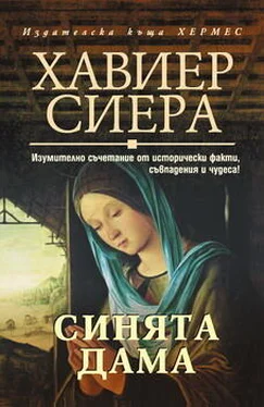 Хавиер Сиера Синята дама обложка книги