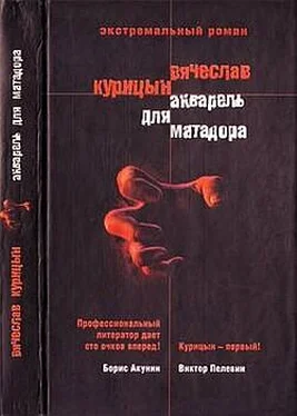 Вячеслав Курицын Акварель для Матадора обложка книги