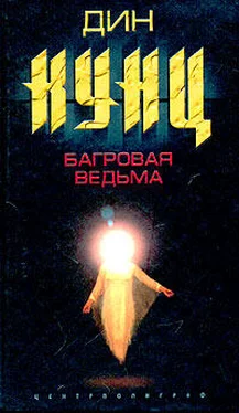 Дин Кунц Багровая ведьма обложка книги