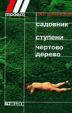 Ежи Косинский Чёртово дерево обложка книги