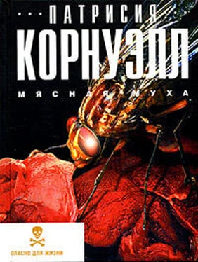 Патриция Корнуэлл Мясная муха обложка книги