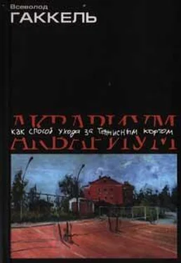 Всеволод Гаккель Аквариум как способ ухода за теннисным кортом обложка книги