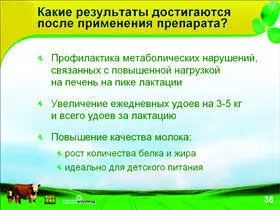 Аналогично идея Бёрда Киви о том что работая в PowerPoint можно вообще - фото 48