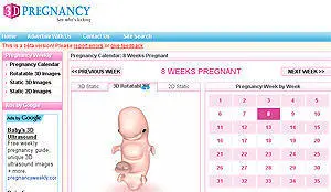 Адрес www3dpregnancycom Интерфейс английский Требуется флэшплагин Как только - фото 52