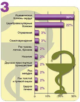 Источник The world health report 2003 shaping the future WHO 2005 - фото 18