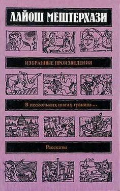 Лайош Мештерхази Эндокринойя обложка книги