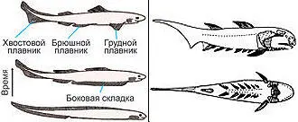 Можно ли учесть такие взаимосвязи в модели В сложной можно Но если эти - фото 45
