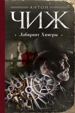 Антон Чиж Лабиринт Химеры обложка книги