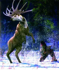 Гигантский олень Megaloceros giganteus считается одним из самых впечатляющих - фото 8