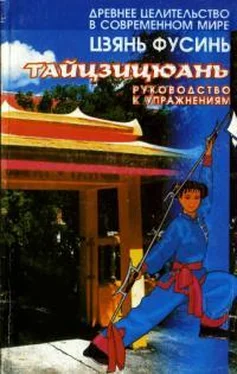 Цзянь Фусинь Тайцзицюань.Руководство к упражнениям обложка книги