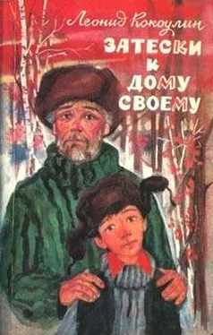 Леонид Кокоулин Затески к дому своему обложка книги