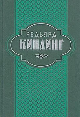 Редьярд Киплинг Самая удивительная повесть в мире и другие рассказы обложка книги