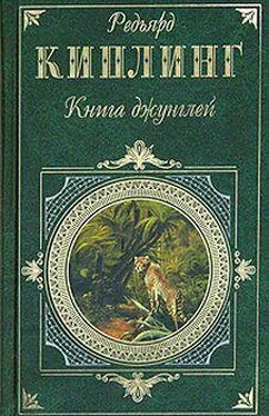 Редьярд Киплинг Книга джунглей обложка книги