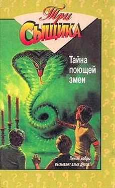 Мэри Кэри Тайна поющей змеи обложка книги