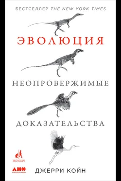 Джерри Койн Эволюция: Неопровержимые доказательства обложка книги