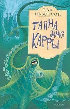 Ева Ибботсон Тайна замка Кары обложка книги