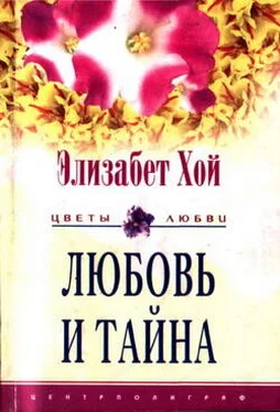 Элизабет Хой Любовь и тайна обложка книги