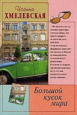 Иоанна Хмелевская Большой кусок мира [Большой кусок света] обложка книги