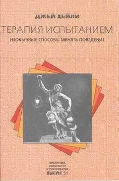 Джей Хейли Терапия испытанием: Необычные способы менять поведение обложка книги