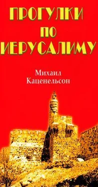 Михаил Каценельсон Прогулки по Иерусалиму обложка книги