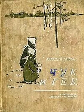 Аркадий Голиков Чук и Гек (с иллюстрациями) обложка книги